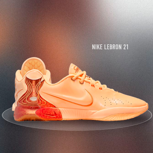 Баскетбольные кроссовки Nike Lebron 21