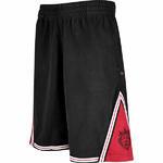 Баскетбольные шорты Nike Lebron | 338592-010