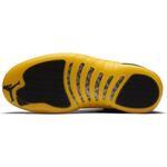 Кроссовки Air Jordan 12 Retro Shoe | 130690-070