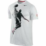 Футболка Nike The Lebron James Shatter Glass T | 426978-100
