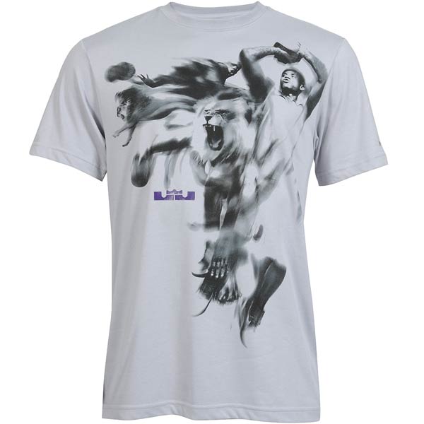 Купить Футболка NIKE LEBRON 3D TEE (HERO) | 439549-096 в Москве или заказать доставку на Slamdunk.su