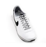 Кроссовки Nike Elite Leather SI - картинка