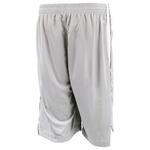 Шорты Nike REGIONAL TEAM DRI-FIT SHORT | 500035-073