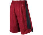 Шорты Nike Lebron Carbonado Short - картинка