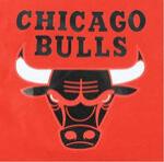 Сумка Mitchell & Ness CHICAGO BULLS CANVAS ROLL BAG RED - картинка