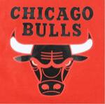 Сумка Mitchell & Ness CHICAGO BULLS CANVAS ROLL BAG RED | CHICAGO BULLS 600