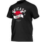 Футболка Adidas NBA Chicago | AH5069