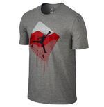 Футболка JORDAN TAGLINES TEE  | 725023-063