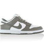 Кроссовки Nike Dunk Low | 318019-102
