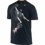 Футболка Nike The Lebron James Shatter Glass T | 426978-010
