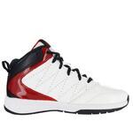 Детские баскетбольные кроссовки Nike Team Hustle D 5 (GS) | 454461-107