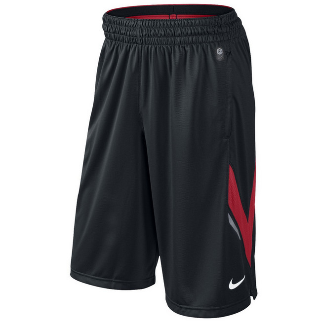 Купить Шорты Nike LEBRON OUTDOOR TECH SHORT | 528990-010 в Москве или заказать доставку на Slamdunk.su