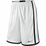 Шорты Nike Regional Hustle Short | 500034-100