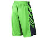 Шорты Nike SEQUALIZER SHORT | 521100-311