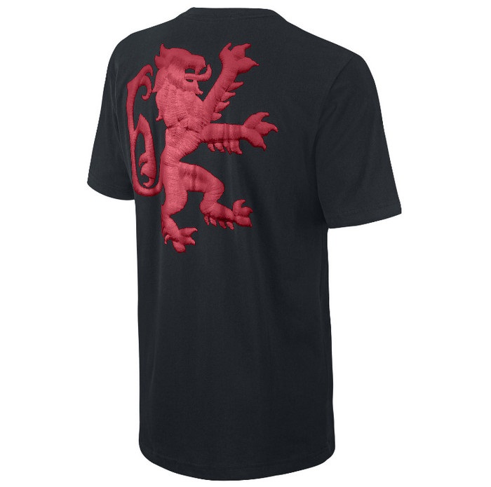 Купить Футболка Nike BB LEBRON SUPER LION TEE | 532762-010 в Москве или заказать доставку на Slamdunk.su