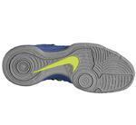 Баскетбольные кроссовки Nike Hyperdunk Low | 554671-501