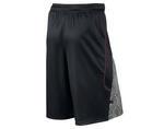 Шорты Jordan Fly Elephant Short | 589346-010