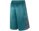 Шорты Jordan Fly Elephant Short | 589346-309