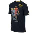 Футболка Nike Hero TD (LeBron) | 589457-010