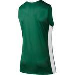 Баскетбольная майка Nike National Varsity Stock | 639394-342