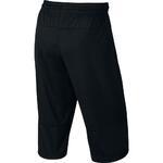Шорты Nike Short Hamgtime Mesh | 841815-010