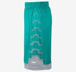Шорты Nike Lebron Driven Short | 596473-301