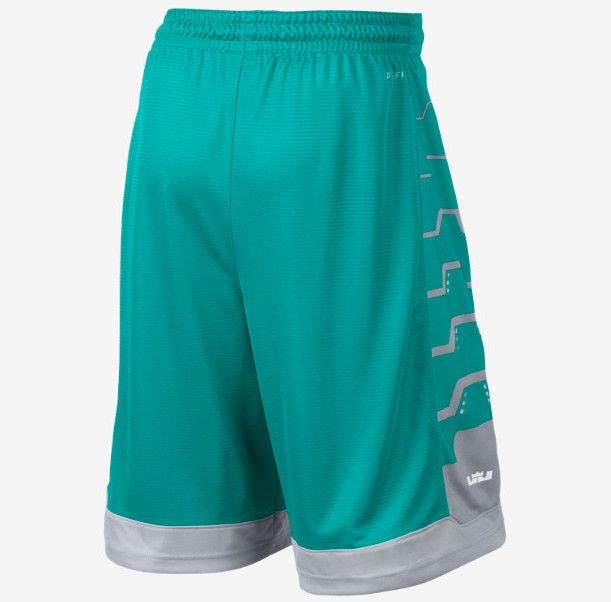 nike lebron driven shorts