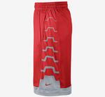 Шорты Nike Lebron Driven Short | 596473-600