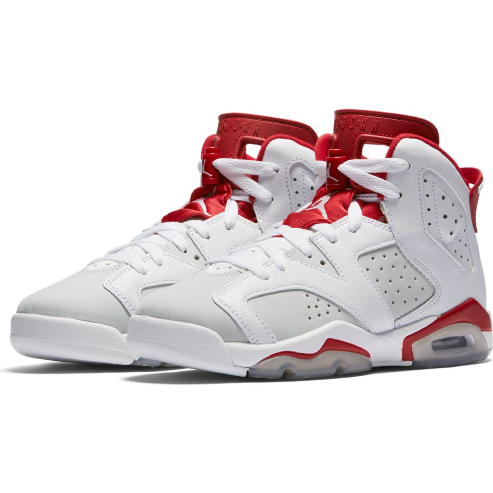 Air Jordan 6 Retro GS 384665 113