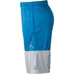 Баскетбольные шорты Air Jordan Classic Blockout | 831338-435