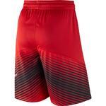 Шорты Nike Elite Reveal | 718386-657