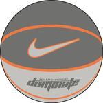 Баскетбольный мяч Nike Dominate №6 | BB0360-065