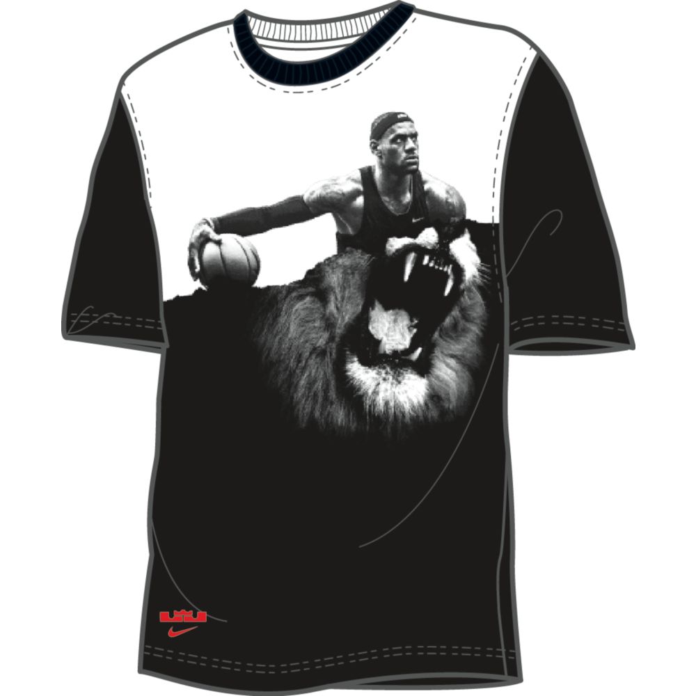 Купить Футболка Nke Lebron Alter Ego Blanc | 659695-100 в Москве или заказать доставку на Slamdunk.su