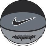 Мяч баскетбольный Nike Dominate (7) | BB0361-494