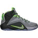 Детские баскетбольные кроссовки Nike Lebron 12 (GS) | 685181-007