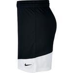 Баскетбольные шорты Nike Practice | 867768-012