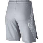Баскетбольные шорты Nike Dry Elite Basketball  | 855297-043