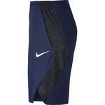 Баскетбольные шорты Nike Dry Elite Basketball | 855297-429