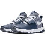 Детские баскетбольные кроссовки Nike Team Hustle D 8 (GS) | 881941-401