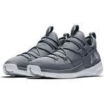 Кроссовки Jordan Trainer Pro Training | AA1344-004