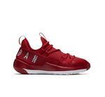 Кросовки Jordan Trainer Pro (GS) | AA1345-603