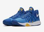 Баскетбольные кроссовки Nike KD Trey 5 V | 897638-400