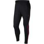 Штаны Jordan Dry 23 Alpha | 889711-011