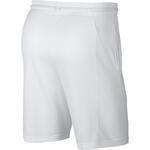 Баскетбольные шорты Nike | 910704-100