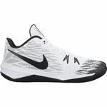 Баскетбольные кроссовки Nike Zoom Evidence II - картинка