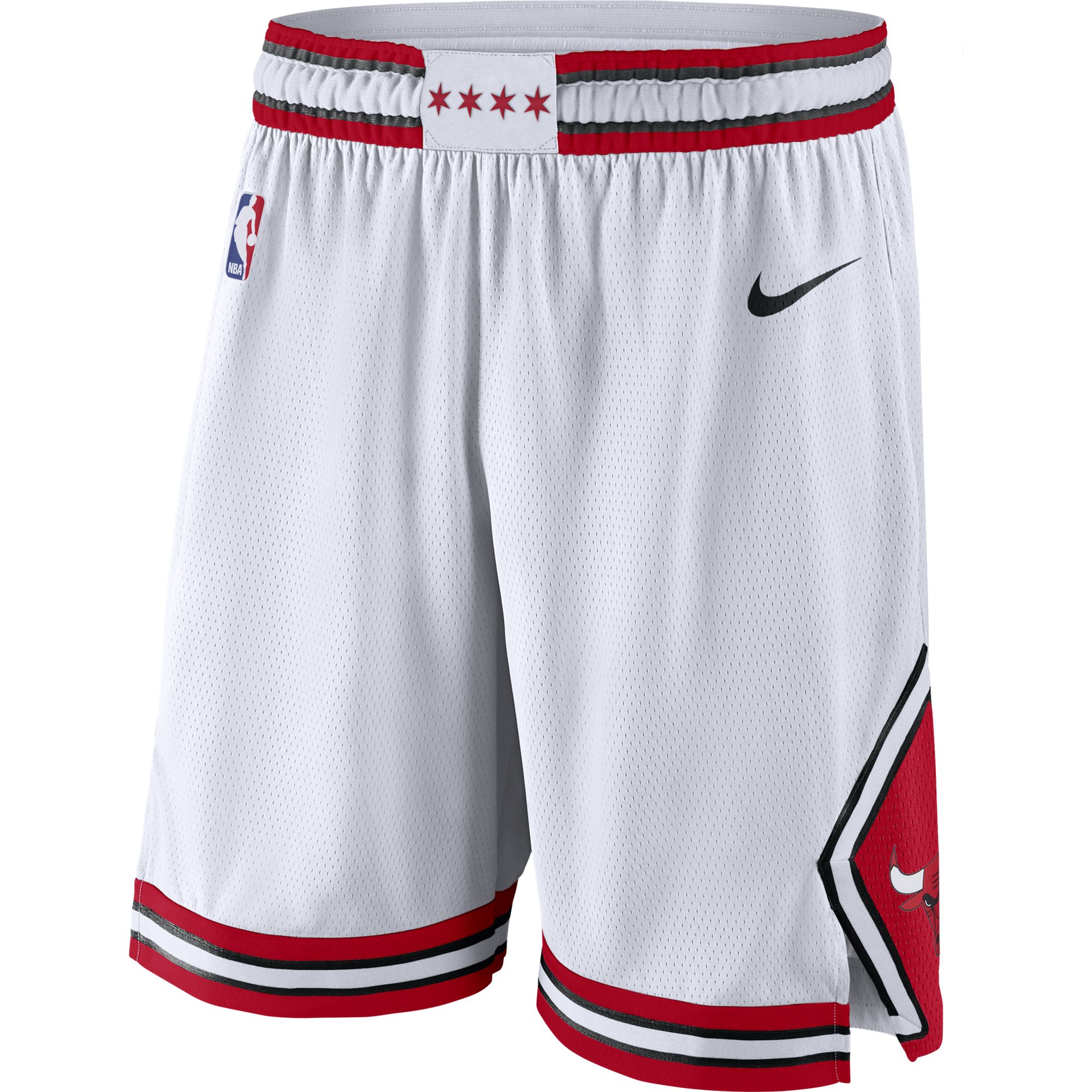 Баскетбольные шорты Nike Chicago Bulls - картинка