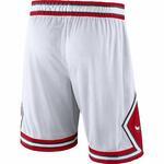 Баскетбольные шорты Nike Chicago Bulls - картинка
