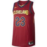 Майка LeBron James Icon Edition Authentic Cleveland Cavaliers  - картинка