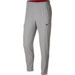 Штаны Nike Flex Basketball | 890661-027