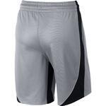 Шорты Nike Dry | 869472-012